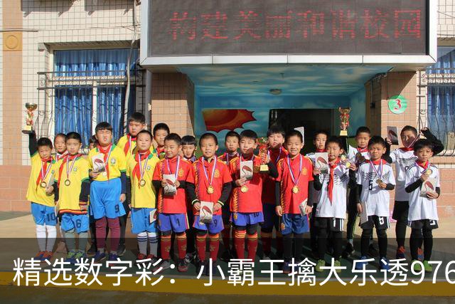 精选数字彩：小霸王擒大乐透976万 赵佳音3D近7中6